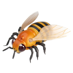 Роботи - Робот ZF Оса (EPT474060) Роботи - Робот ZF Оса (EPT474060)