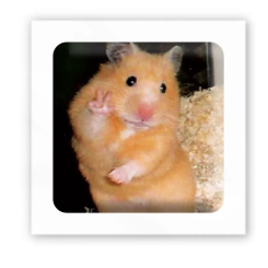 Набори для творчості - 3D-стікер Tattooshka Хомяк каже привіт (SX-142) Набори для творчості - 3D-стікер Tattooshka Хомяк каже привіт (SX-142)