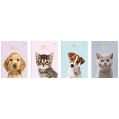 Канцтовари - Зошит Interdruk Puppy sign в клітинку 16 аркушів в асортименті (226921) Канцтовари - Зошит Interdruk Puppy sign в клітинку 16 аркушів в асортименті (226921)