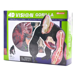 Наукові ігри, фокуси та досліди - Об'ємна модель 4D Master Горила (FM-622012) Наукові ігри, фокуси та досліди - Об'ємна модель 4D Master Горила (FM-622012)