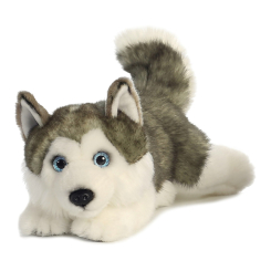 М'які тварини - М'яка іграшка Aurora Хаскі 28 см (150715A) М'які тварини - М'яка іграшка Aurora Хаскі 28 см (150715A)