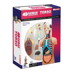 Наукові ігри, фокуси та досліди - Об'ємна модель 4D Master Тулуб людини (FM-626003) Наукові ігри, фокуси та досліди - Об'ємна модель 4D Master Тулуб людини (FM-626003)