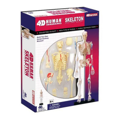 Наукові ігри, фокуси та досліди - Об'ємна модель 4D Master Скелет людини (FM-626011) Наукові ігри, фокуси та досліди - Об'ємна модель 4D Master Скелет людини (FM-626011)