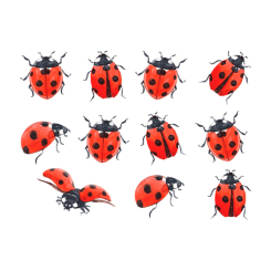 Косметика - Набір тату для тіла Arley Sign Сонечка (1120s) Косметика - Набір тату для тіла Arley Sign Сонечка (1120s)