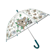 Парасольки і дощовики