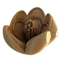 3D-пазли - 3D-пазл Cartonic Крокус (CARTCROCUS) 3D-пазли - 3D-пазл Cartonic Крокус (CARTCROCUS)