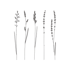 Косметика - Набір тату для тіла Arley Sign Польові гілочки (1105) Косметика - Набір тату для тіла Arley Sign Польові гілочки (1105)