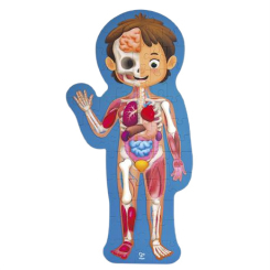 Пазли - Пазл Hape Тіло людини 60 елементів (E1635) Пазли - Пазл Hape Тіло людини 60 елементів (E1635)