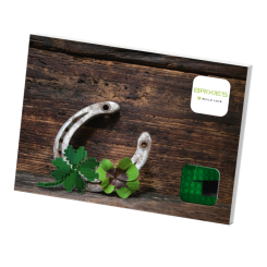 Конструктори з унікальними деталями - Конструктор BRIXIES Листівка Чотирилисник 79 деталей (220.021) Конструктори з унікальними деталями - Конструктор BRIXIES Листівка Чотирилисник 79 деталей (220.021)