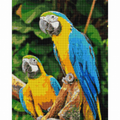 Мозаїка - Алмазна мозаїка Brushme Папуги Ара (DBS1049) Мозаїка - Алмазна мозаїка Brushme Папуги Ара (DBS1049)