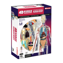 Наукові ігри, фокуси та досліди - Об'ємна модель 4D Master Тіло людини прозоре (FM-626204) Наукові ігри, фокуси та досліди - Об'ємна модель 4D Master Тіло людини прозоре (FM-626204)