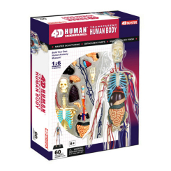 Наукові ігри, фокуси та досліди - Об'ємна модель 4D Master Тіло людини прозоре (FM-626204) Наукові ігри, фокуси та досліди - Об'ємна модель 4D Master Тіло людини прозоре (FM-626204)