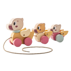 Розвивальні іграшки - Розвивальна іграшка Cubika Мандруючі каченята 2 (15979) Розвивальні іграшки - Розвивальна іграшка Cubika Мандруючі каченята 2 (15979)