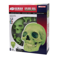 Наукові ігри, фокуси та досліди - Об'ємна модель 4D Master Череп людини (FM-626113) Наукові ігри, фокуси та досліди - Об'ємна модель 4D Master Череп людини (FM-626113)