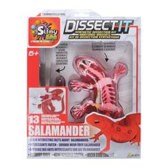 Наукові ігри, фокуси та досліди - Набір для дослідів Joker Slimy lab Анатомія тварин Саламандра (38071) Наукові ігри, фокуси та досліди - Набір для дослідів Joker Slimy lab Анатомія тварин Саламандра (38071)
