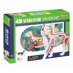 Наукові ігри, фокуси та досліди - Об'ємна модель 4D Master Кіт (FM-622040) Наукові ігри, фокуси та досліди - Об'ємна модель 4D Master Кіт (FM-622040)