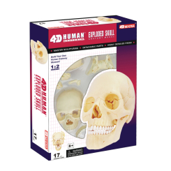 Наукові ігри, фокуси та досліди - Об'ємна модель 4D Master Череп людини (FM-626111) Наукові ігри, фокуси та досліди - Об'ємна модель 4D Master Череп людини (FM-626111)