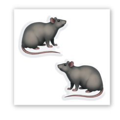 Набори для творчості - 3D стікер Tattooshka Подруги бестії (SX-266) Набори для творчості - 3D стікер Tattooshka Подруги бестії (SX-266)