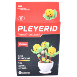 Конструктори з унікальними деталями - Конструктор Sluban Фігурка у горщику Кумкват (M38-B1073/4) Конструктори з унікальними деталями - Конструктор Sluban Фігурка у горщику Кумкват (M38-B1073/4)