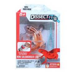 Наукові ігри, фокуси та досліди - Набір для дослідів Joker Slimy Lab Анатомія тварин - Саламандра S (38085) Наукові ігри, фокуси та досліди - Набір для дослідів Joker Slimy Lab Анатомія тварин - Саламандра S (38085)
