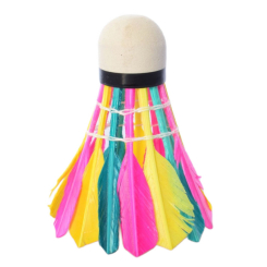 Спортивні активні ігри - Воланчик PROFI кольоровий (MS 0155) Спортивні активні ігри - Воланчик PROFI кольоровий (MS 0155)