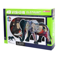 Наукові ігри, фокуси та досліди - Об'ємна модель 4D Master Слон (FM-622037) Наукові ігри, фокуси та досліди - Об'ємна модель 4D Master Слон (FM-622037)