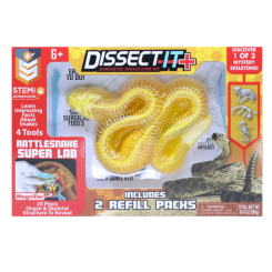 Наукові ігри, фокуси та досліди - Набір для дослідів Joker Slimy Lab Анатомія тварин Гремуча змія (38095) Наукові ігри, фокуси та досліди - Набір для дослідів Joker Slimy Lab Анатомія тварин Гремуча змія (38095)