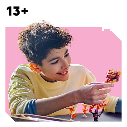 Лего для дітей 13+ років