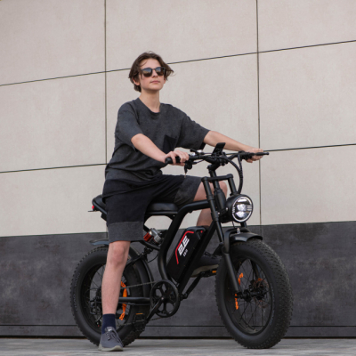 Велосипеди - Електровелосипед 2E EB11 20'' червоно-чорний (EB11)#5