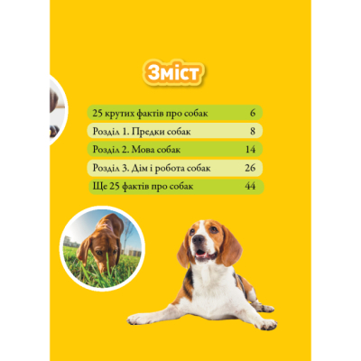 Пізнавальні книги (4-10 років) - Книжка «Гав! 100 цікавих фактів про собак» Елізабет Карні (9786171600447)#2