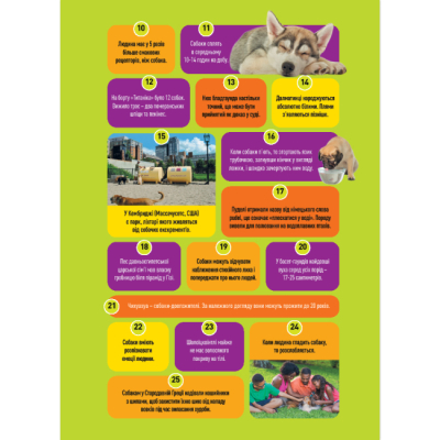 Пізнавальні книги (4-10 років) - Книжка «Гав! 100 цікавих фактів про собак» Елізабет Карні (9786171600447)#4