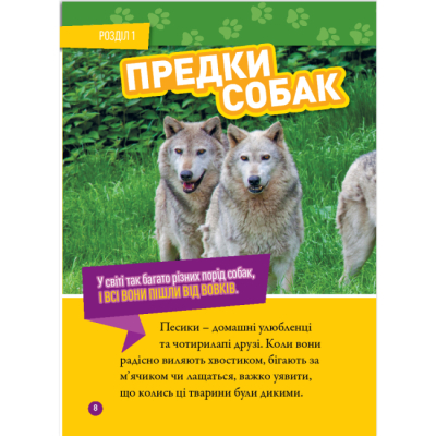 Пізнавальні книги (4-10 років) - Книжка «Гав! 100 цікавих фактів про собак» Елізабет Карні (9786171600447)#5
