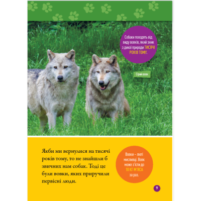 Пізнавальні книги (4-10 років) - Книжка «Гав! 100 цікавих фактів про собак» Елізабет Карні (9786171600447)#6
