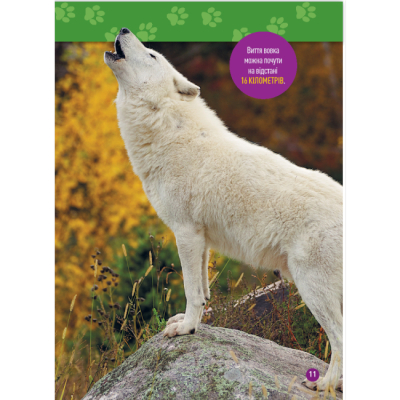 Пізнавальні книги (4-10 років) - Книжка «Гав! 100 цікавих фактів про собак» Елізабет Карні (9786171600447)#8