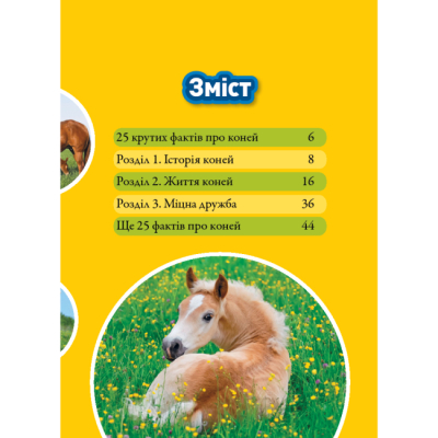 Пізнавальні книги (4-10 років) - Книжка «Галопом! 100 цікавих фактів про коней» Кітсон Язинка (9786171600430)#2