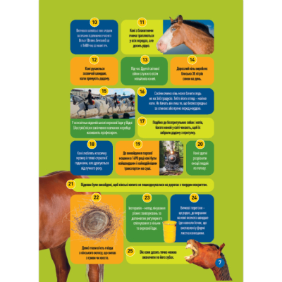 Пізнавальні книги (4-10 років) - Книжка «Галопом! 100 цікавих фактів про коней» Кітсон Язинка (9786171600430)#4