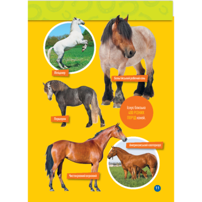 Пізнавальні книги (4-10 років) - Книжка «Галопом! 100 цікавих фактів про коней» Кітсон Язинка (9786171600430)#8