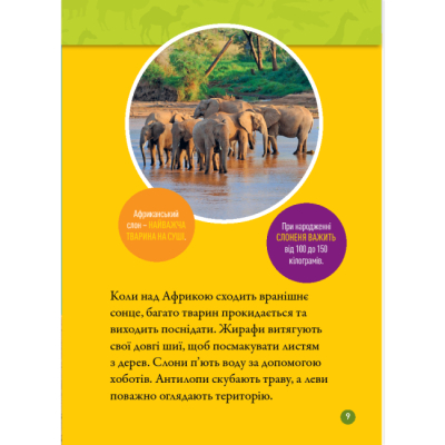 Пізнавальні книги (4-10 років) - Книжка «Гррр! 100 цікавих фактів про тварин Африки» Стефані Воррен Дріммер (9786171600454)#6