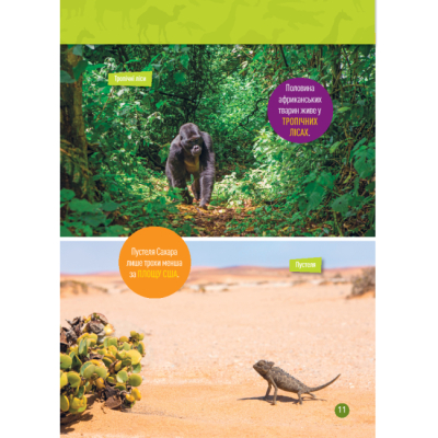 Пізнавальні книги (4-10 років) - Книжка «Гррр! 100 цікавих фактів про тварин Африки» Стефані Воррен Дріммер (9786171600454)#8