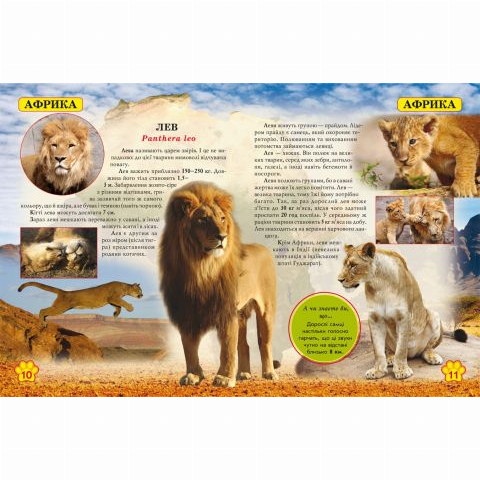 Пізнавальні книги (4-10 років) - Книжка «Світ навколо нас Дикі тварини» (9789669369420)#2