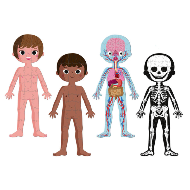 Пазли - Пазл навчаючий Janod Тіло людини (J02681)#3