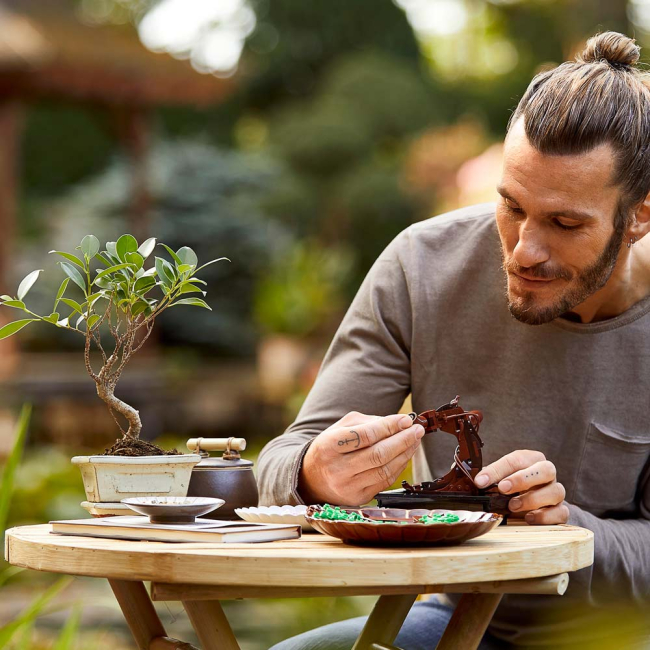 Конструктори LEGO - Конструктор LEGO Botanicals Expert Дерево Бонсай (10281)#5