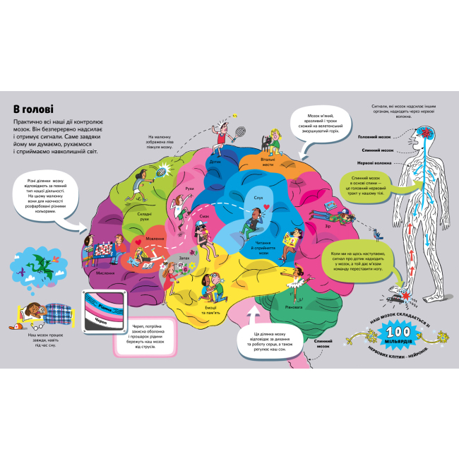 Пізнавальні книги (4-10 років) - Книжка «Велика книга про тіло» Мінна Лейсі (9786177688098)#2