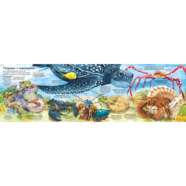 Пізнавальні книги (4-10 років) - Енциклопедія «Велика книга морських мешканців» Мінна Лейсі (9786177940172)#2