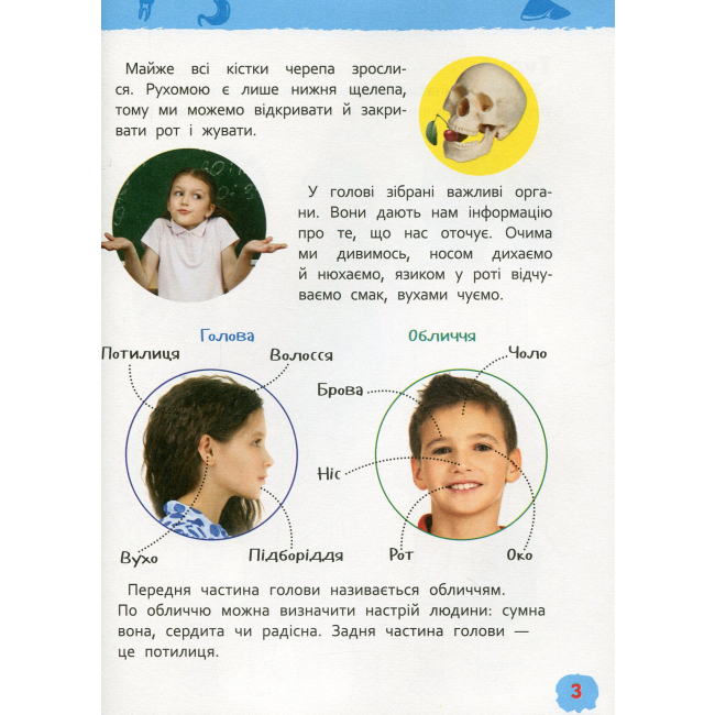 Пізнавальні книги (4-10 років) - Книжка «Моя перша енциклопедія Тіло людини» (121233)#3