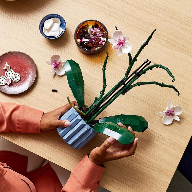 Конструктори LEGO - Конструктор LEGO Botanicals Орхідея (10311)#6