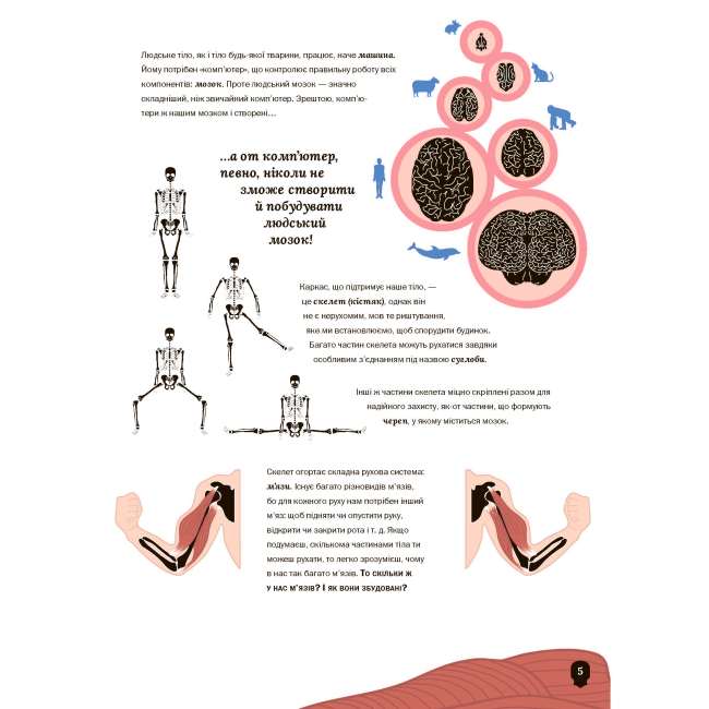 Пізнавальні книги (4-10 років) - Книжка «Тіло людини» Кристина Перабоні (9786177853199)#3