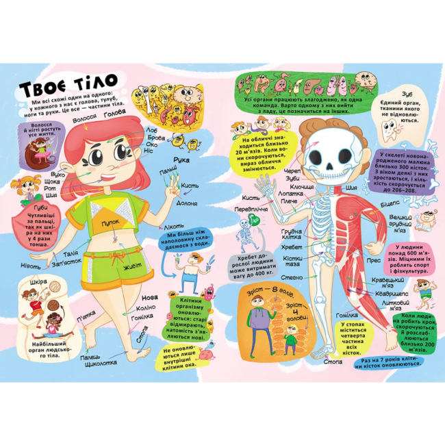 Пізнавальні книги (4-10 років) - Книжка з секретними віконцями «Все про твоє тіло» (9789669871602)#2