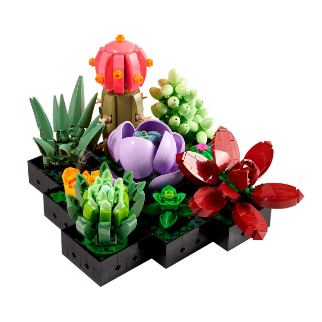 Конструктори LEGO - Конструктор LEGO Botanicals Сукуленти (10309)#2