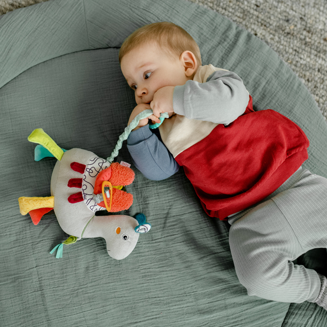 Розвивальні іграшки - Розвиваюча іграшка Fehn Активний музичний верблюд (049022) (4001998049022)#4